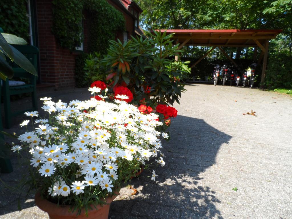 Haus Am Deich Apartment Utersum Luaran gambar